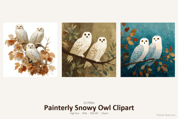 Download Painterly Snowy Owl Clipart - Snow Collection